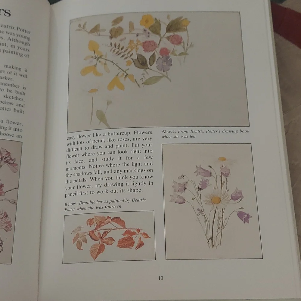 The Big Peter Rabbit Book - Picture 13 of 16
